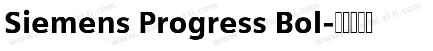 Siemens Progress Bol字体转换
